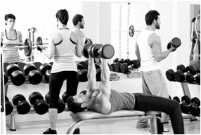 Helfi 24 Hour Gym Programs strength program